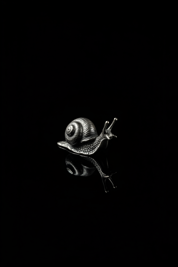 Lumaca in Argento 800
