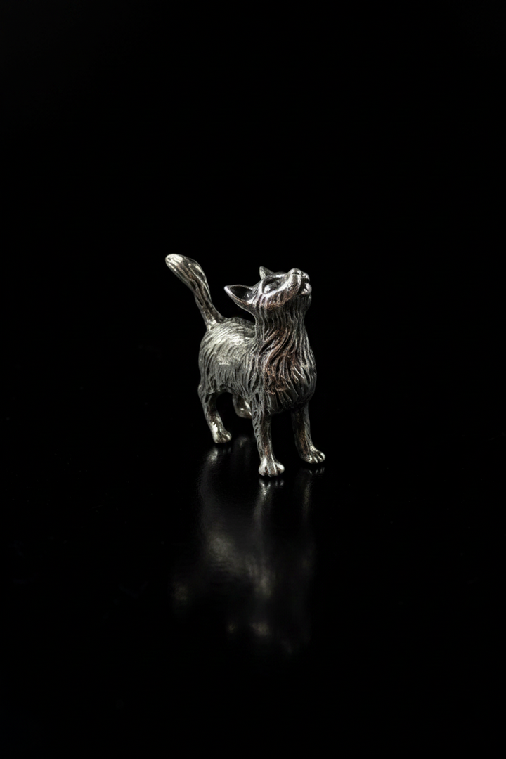 Gattino in Argento