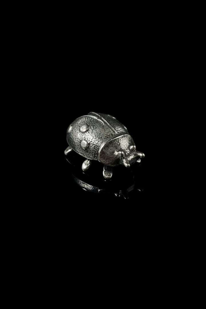 Coccinella in Argento 925