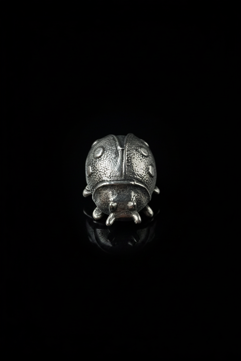 Coccinella in Argento 925