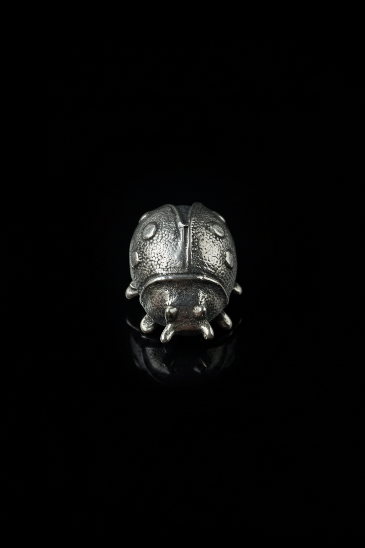 Coccinella in Argento 925