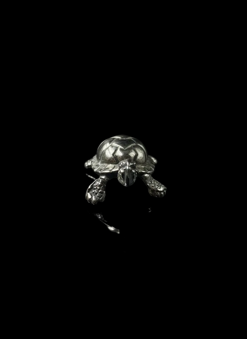Tartaruga in Argento 925