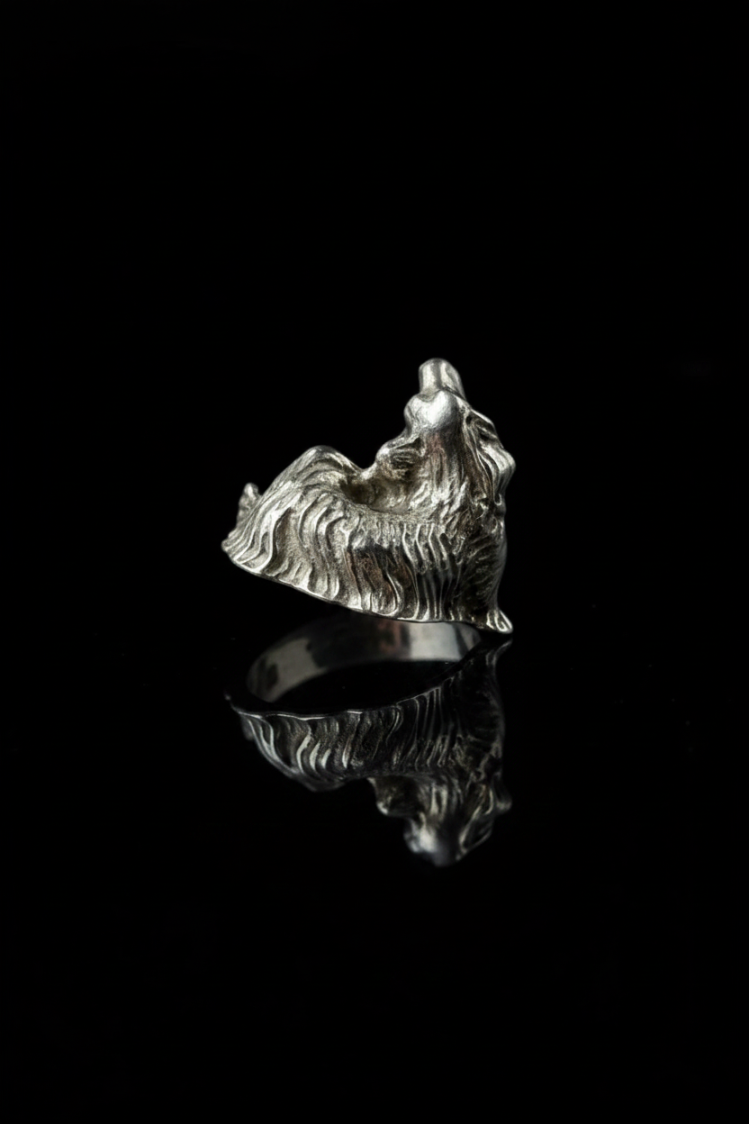 Cocker, in Argento 800