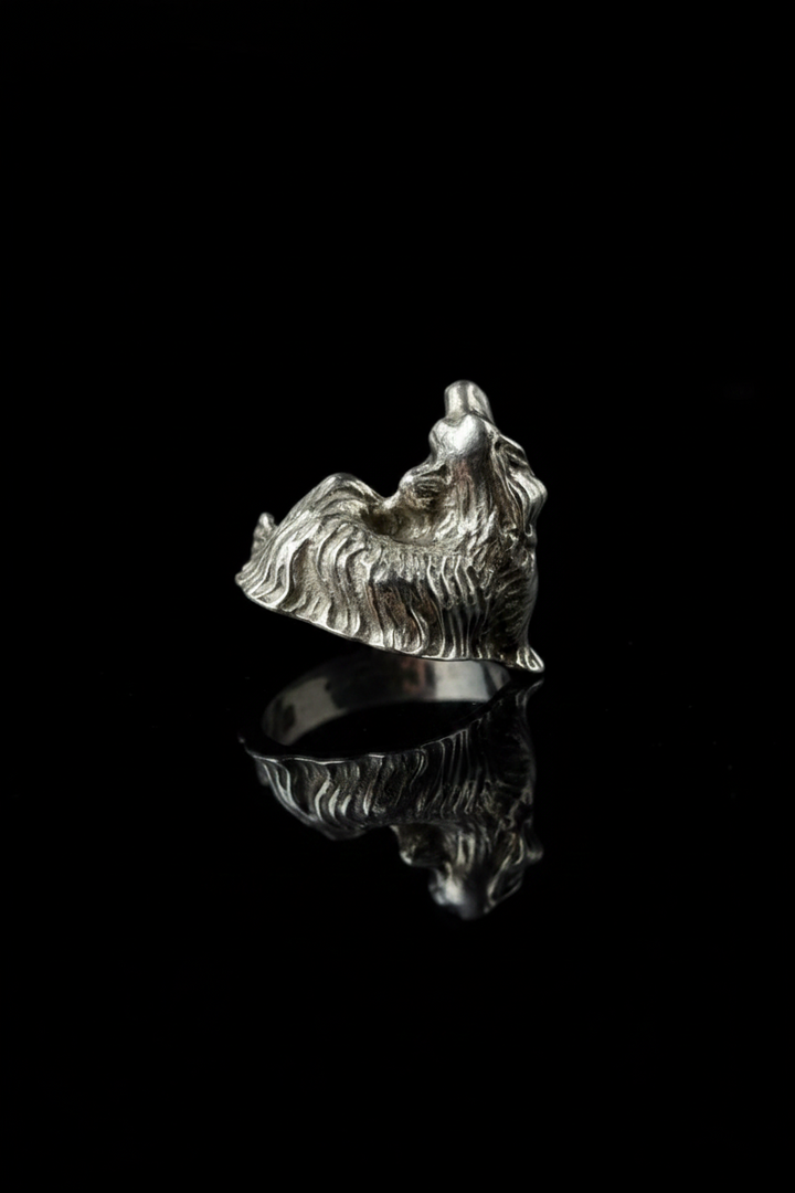 Cocker, in Argento 800