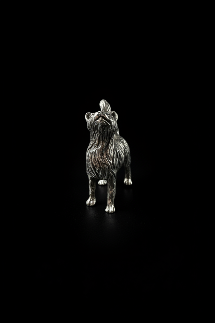 Gattino in Argento