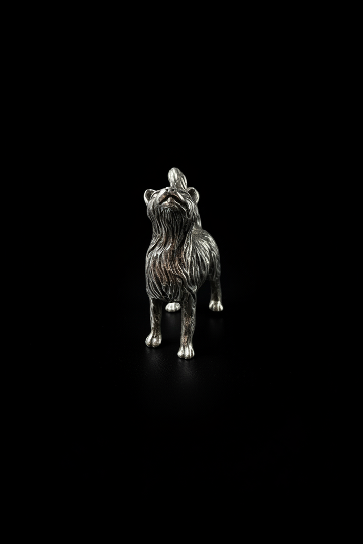 Gattino in Argento