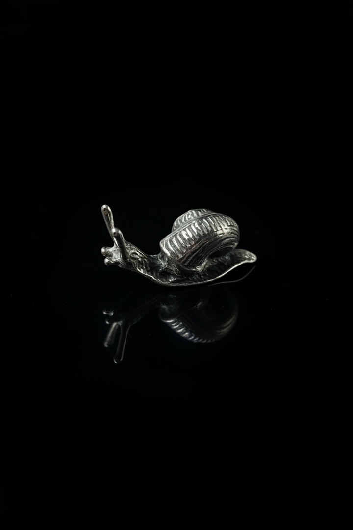Lumaca in Argento 800