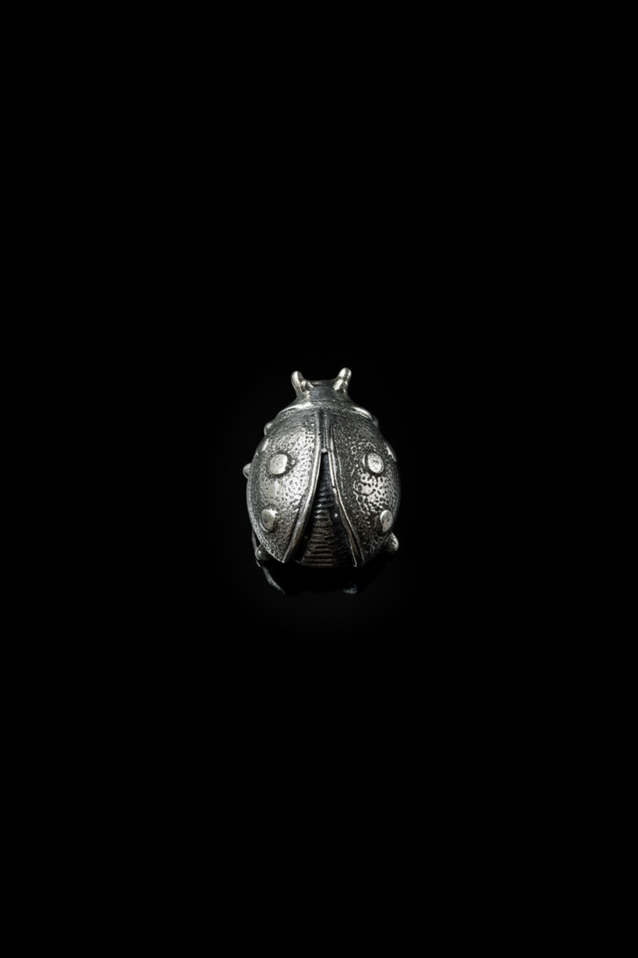 Coccinella in Argento 925