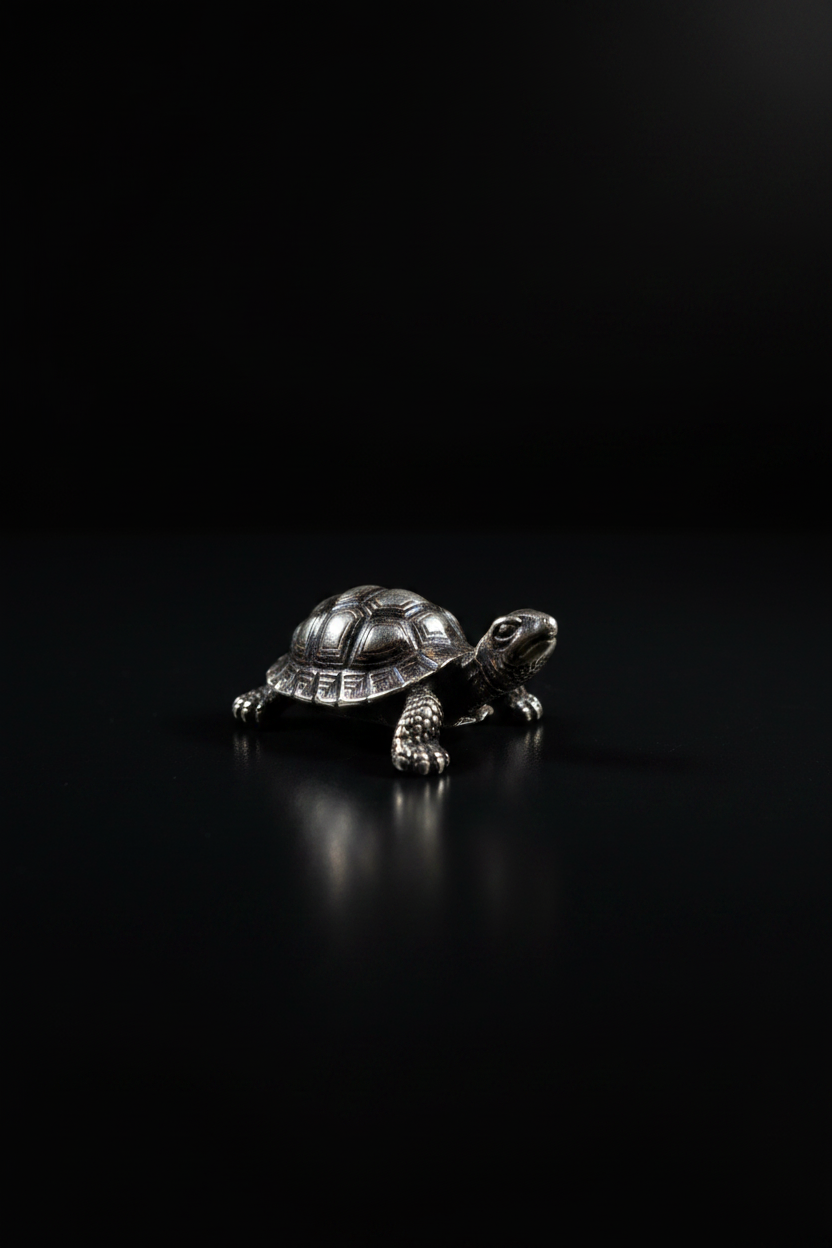 Tartaruga in Argento 925