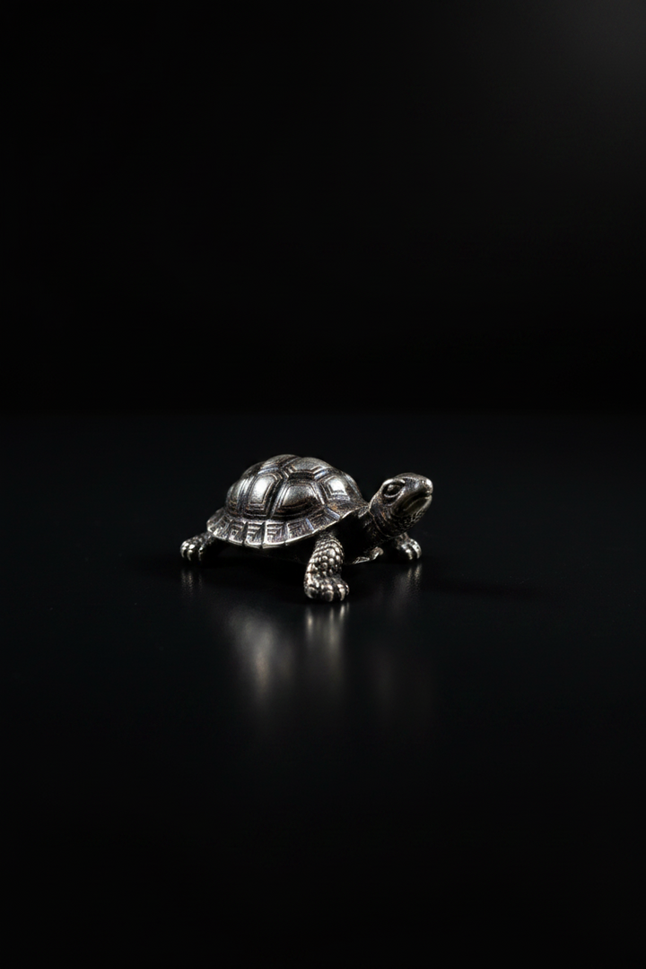 Tartaruga in Argento 925