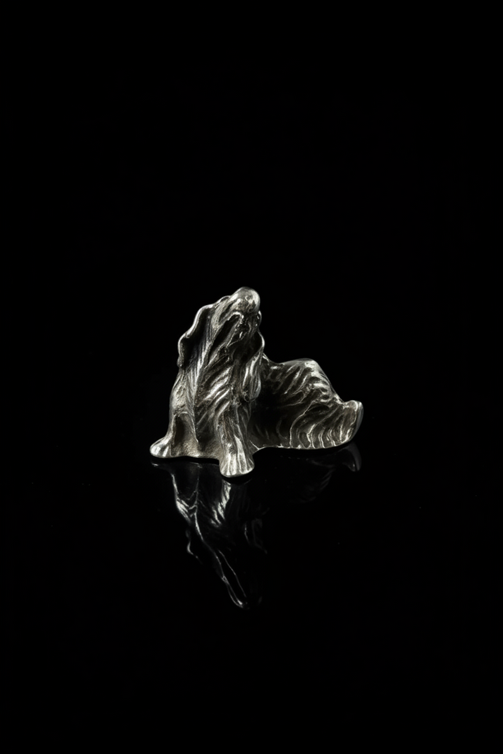 Cocker, in Argento 800