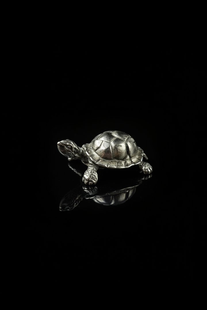Tartaruga in Argento 925