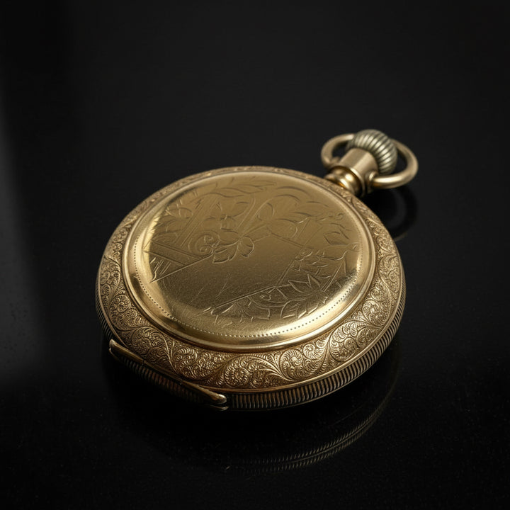 Elgin National Watch Co. con cassa Fahys Montauk n.1