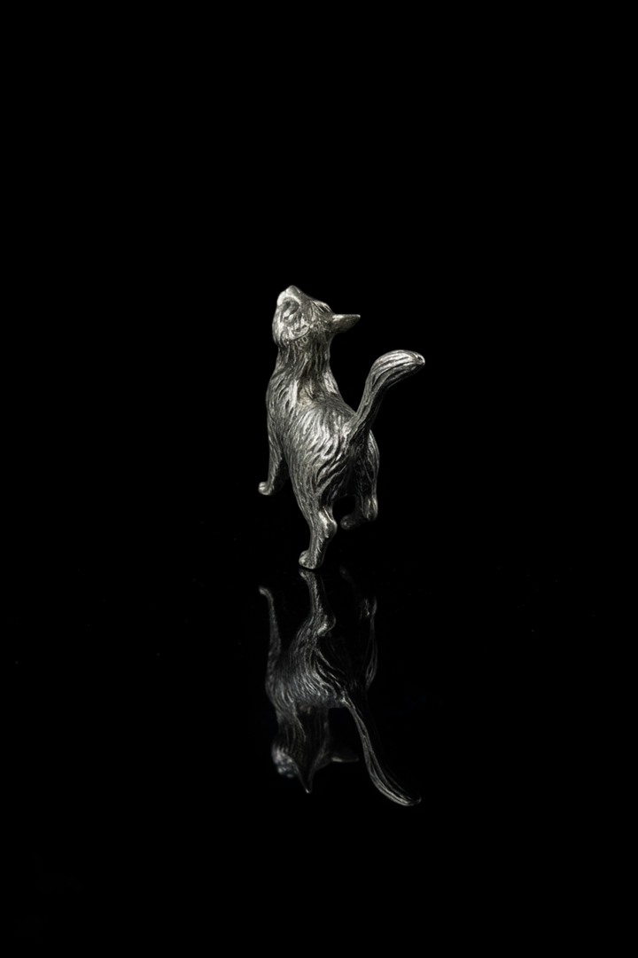 Gattino in Argento