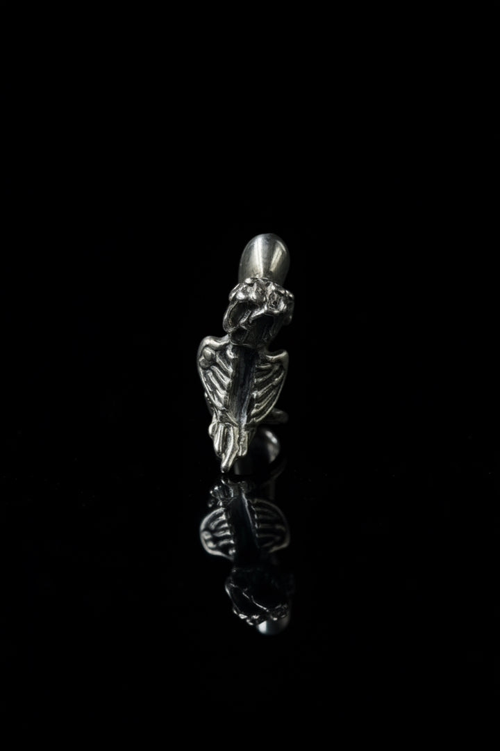 Pappagallo in Argento 925