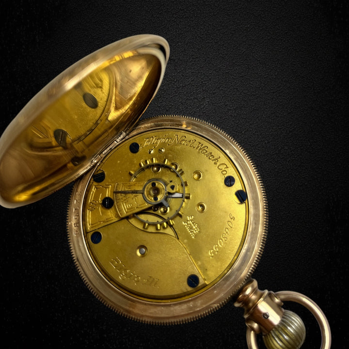 Elgin National Watch Co. con cassa Fahys Montauk n.1