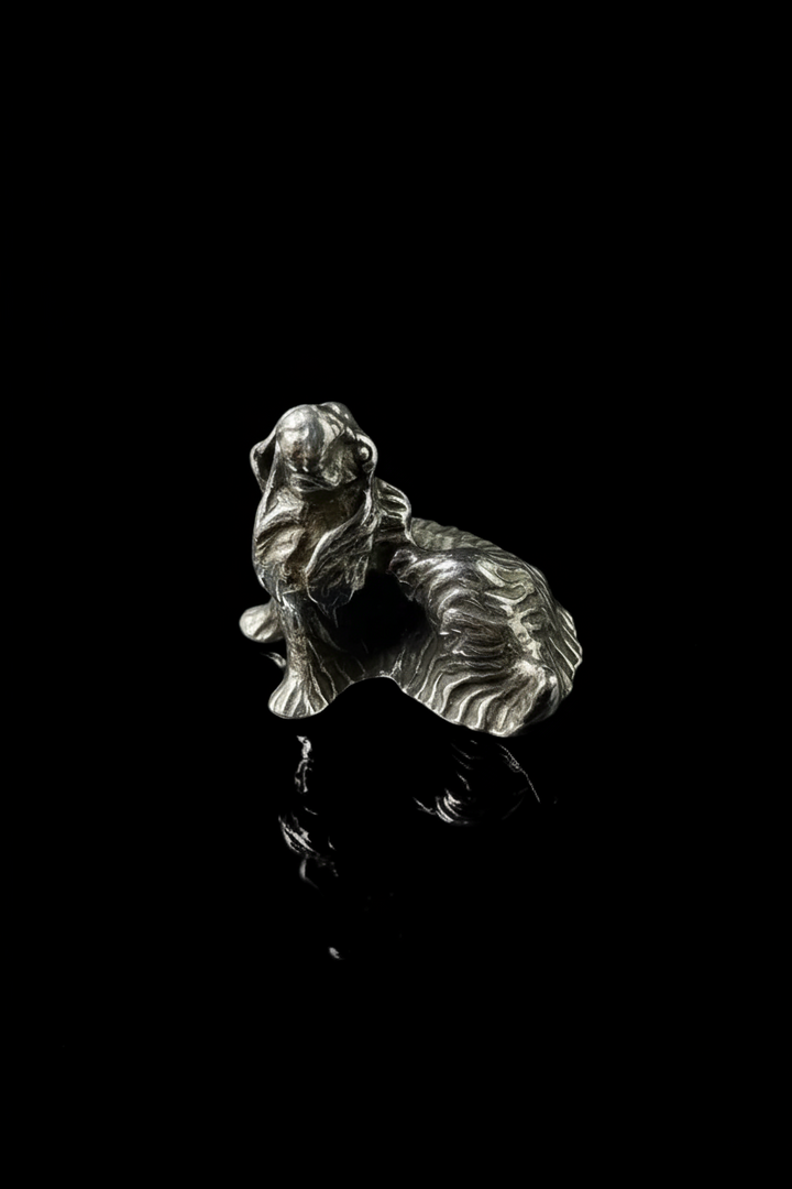 Cocker, in Argento 800